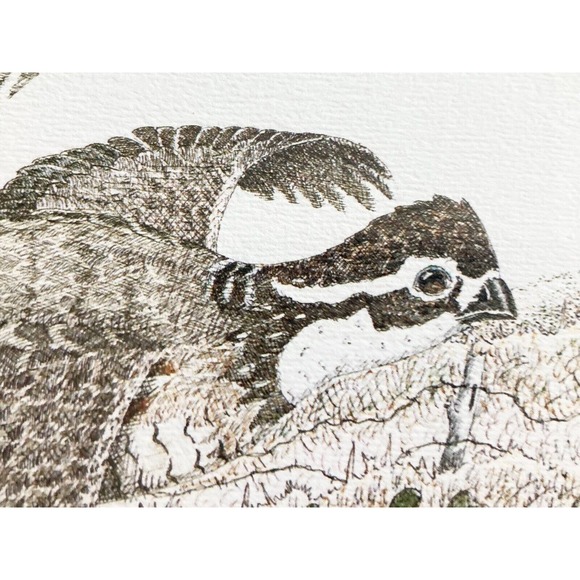 GENE MURRAY, “Quails” Lithograph Signed 22”X18” Print, 1977 305/700 - Picture 4 of 7